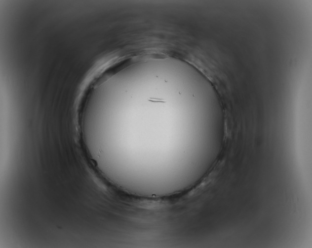 X0000086800245200705041614