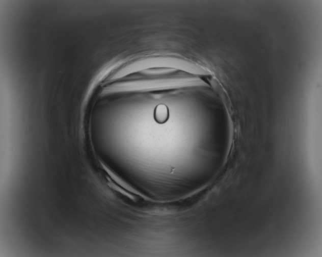 X0000086800248200705041614