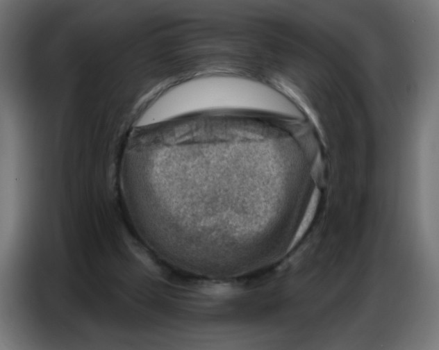 X0000086800249200705041614