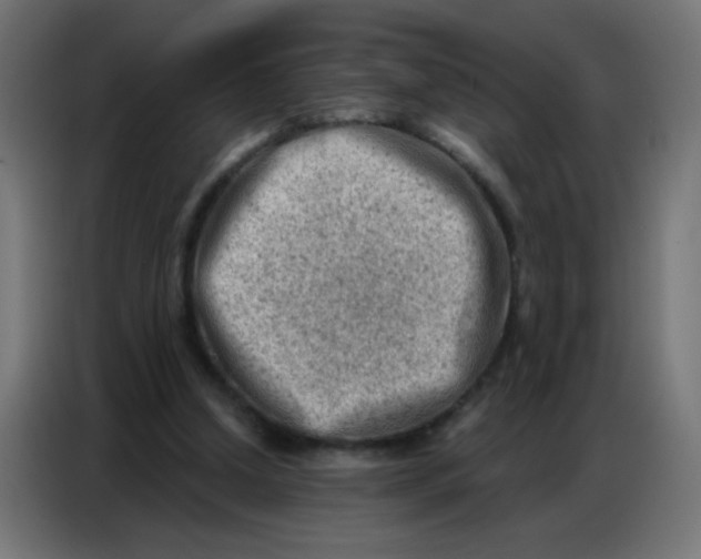 X0000086800250200705041614