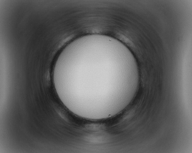 X0000086800251200705041614