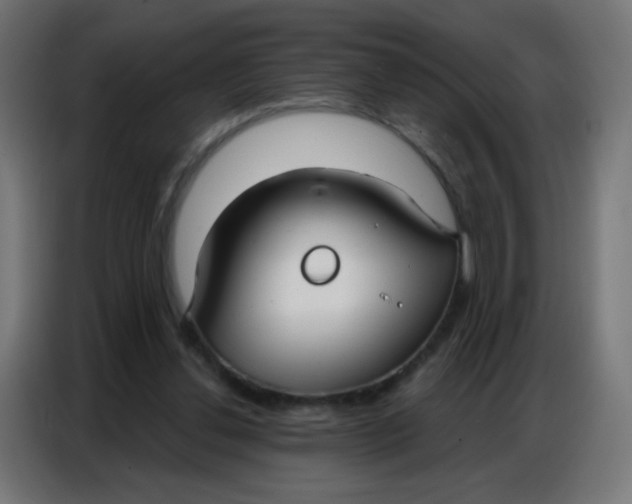 X0000086800252200705041614