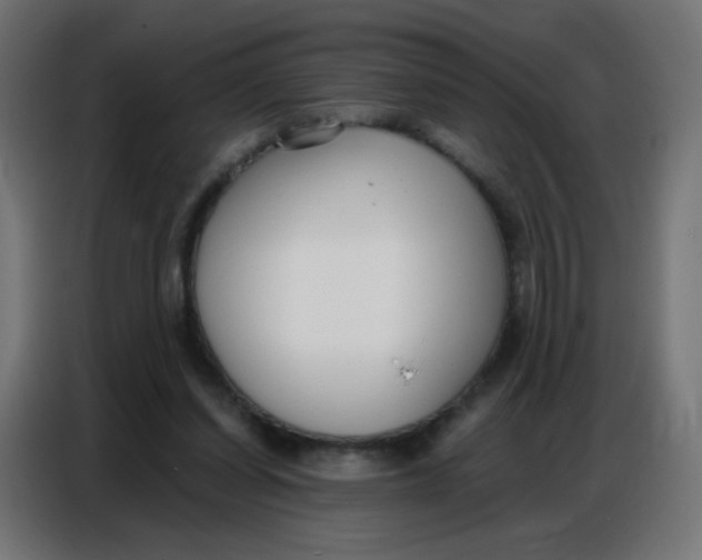 X0000086800254200705041614