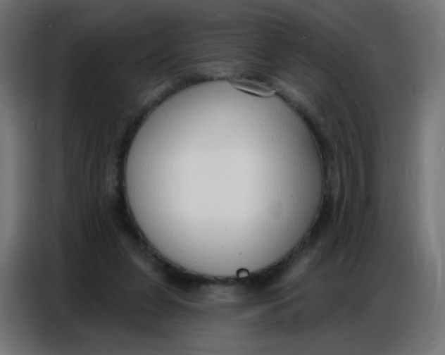 X0000086800255200705041614