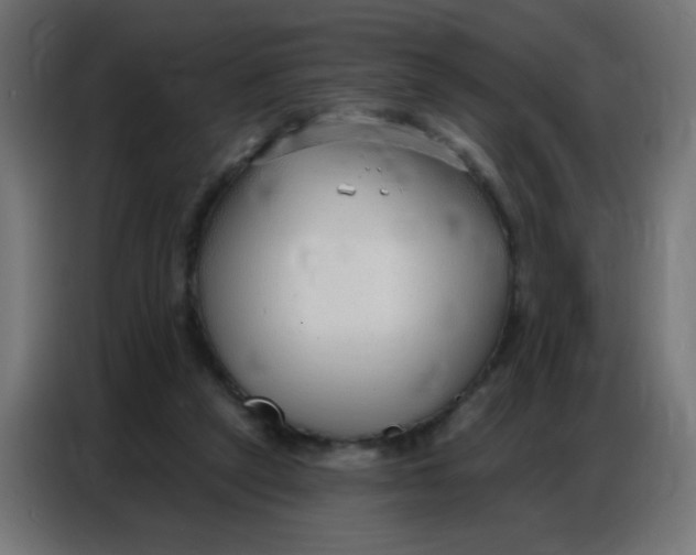 X0000086800257200705041614