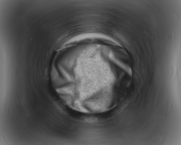 X0000086800258200705041614