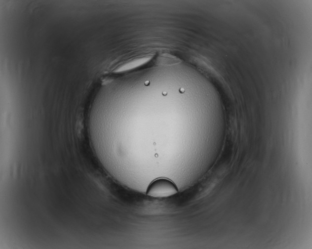 X0000086800259200705041614