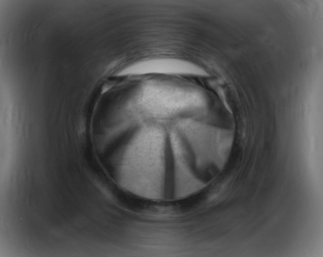 X0000086800260200705041614