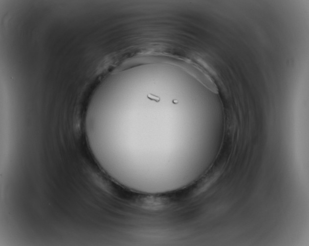 X0000086800261200705041614