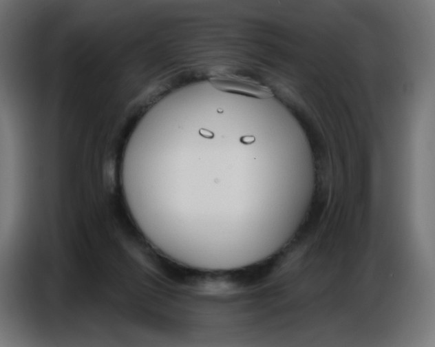 X0000086800262200705041614