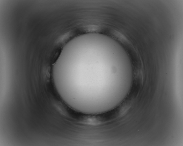 X0000086800264200705041614