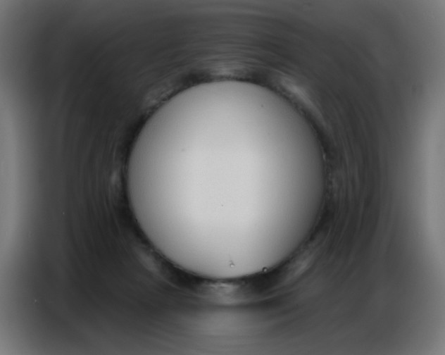 X0000086800265200705041614