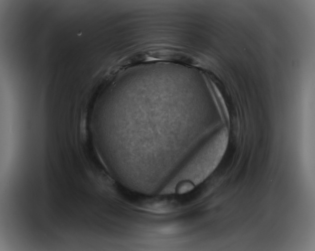 X0000086800267200705041614