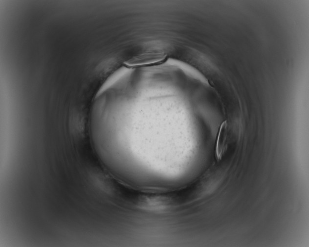 X0000086800268200705041614