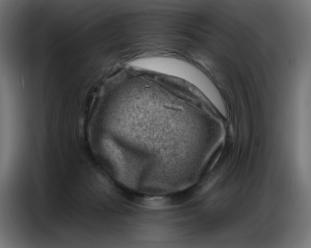 X0000086800269200705041614