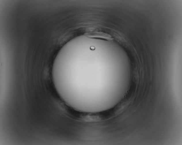 X0000086800270200705041614