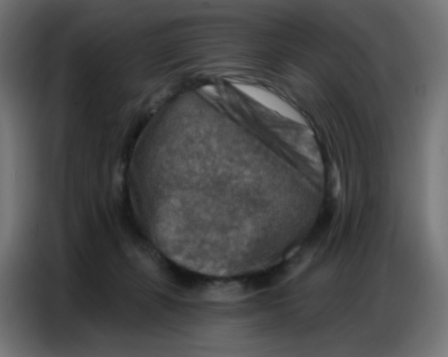 X0000086800271200705041614