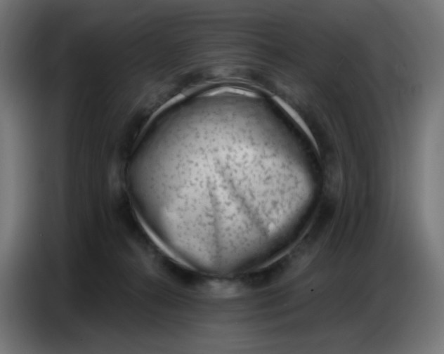 X0000086800272200705041614