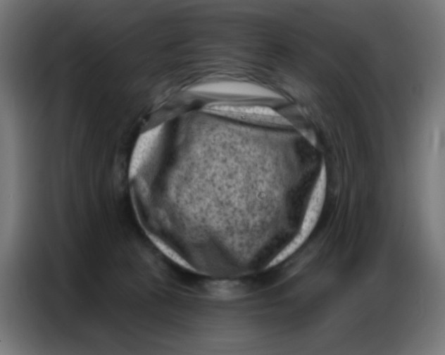 X0000086800273200705041614