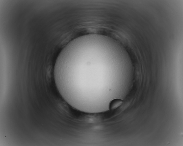 X0000086800275200705041614