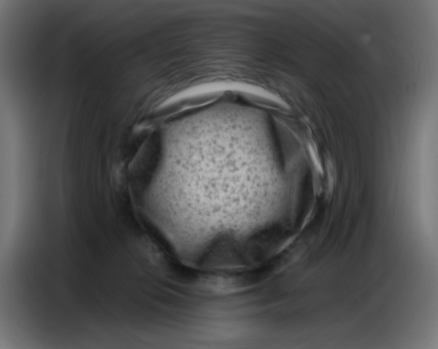 X0000086800276200705041614