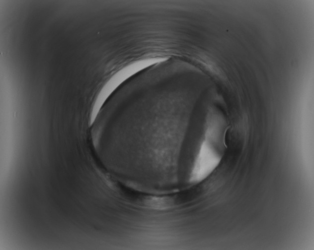 X0000086800277200705041614