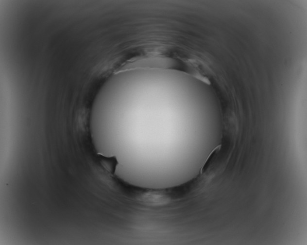 X0000086800280200705041614