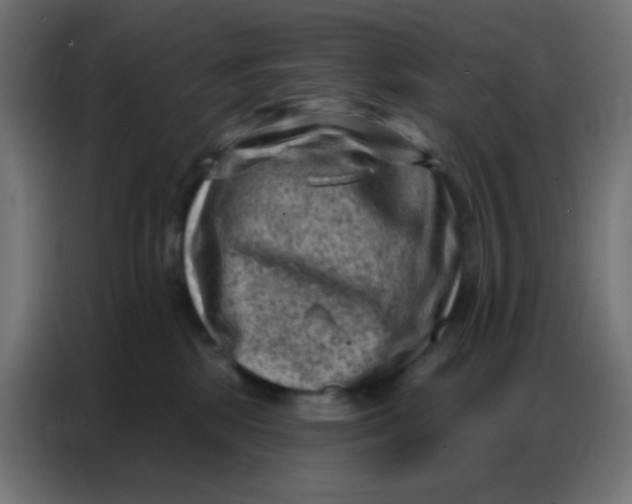 X0000086800281200705041614