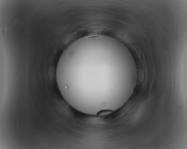 X0000086800283200705041614