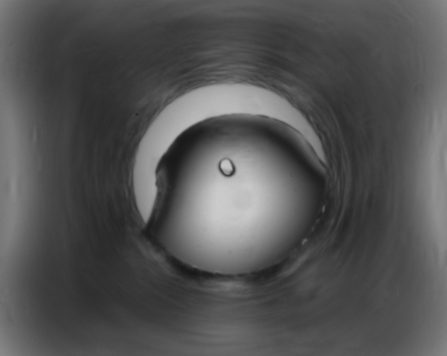 X0000086800284200705041614