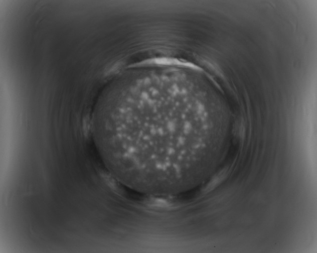 X0000086800285200705041614