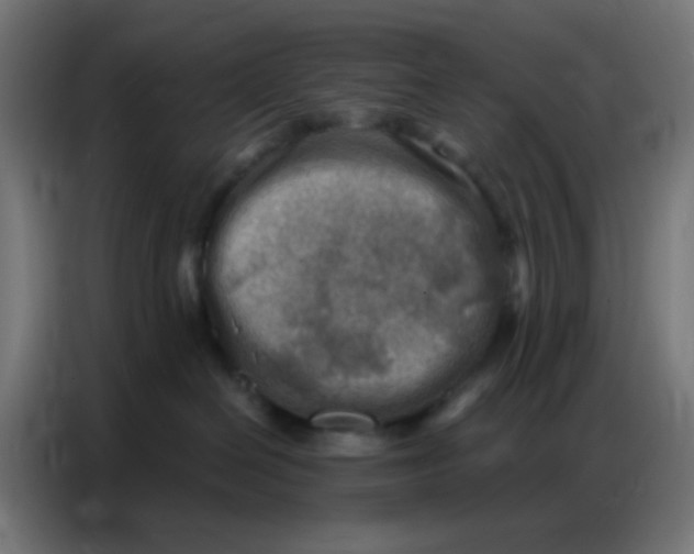 X0000086800286200705041614