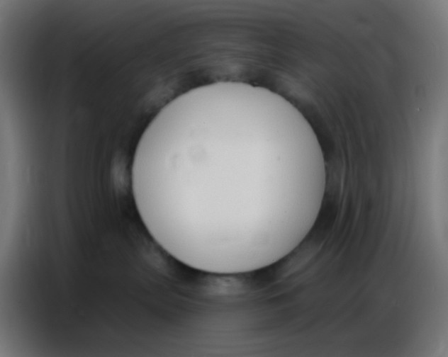 X0000086800287200705041614