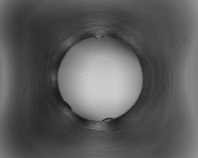 X0000086800288200705041614