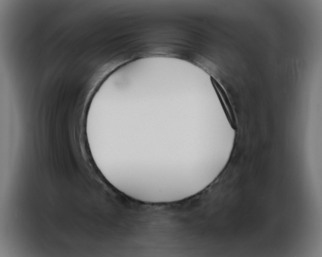 X0000086800289200705041614