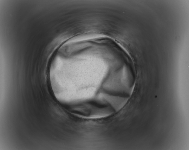 X0000086800290200705041614