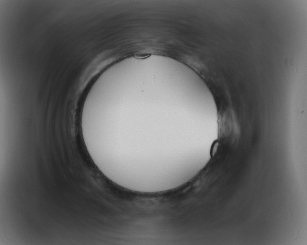 X0000086800291200705041614