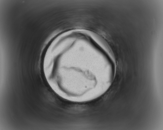 X0000086800292200705041614