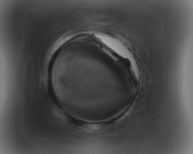 X0000086800295200705041614