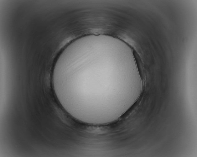 X0000086800297200705041614