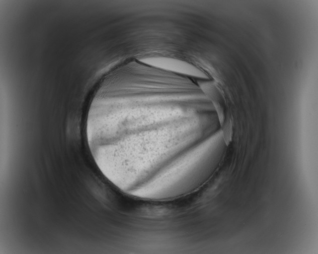 X0000086800299200705041613