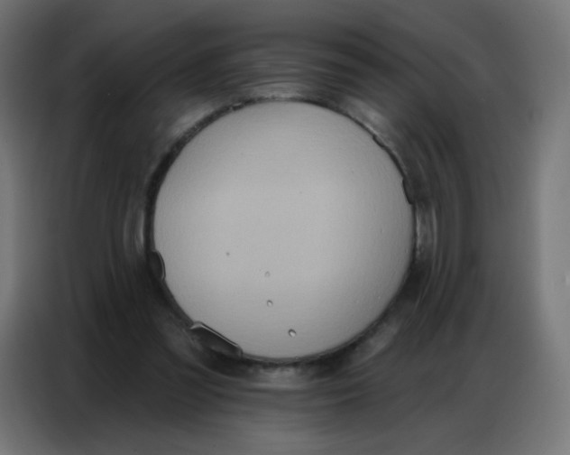 X0000086800301200705041613