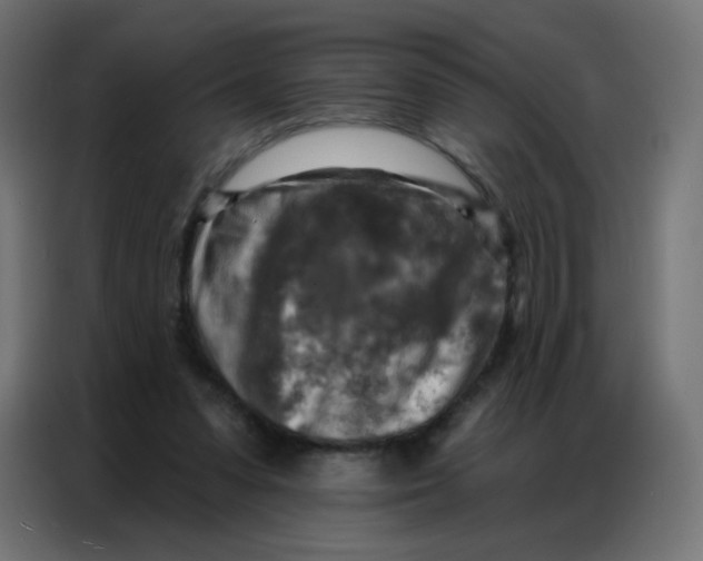 X0000086800303200705041613