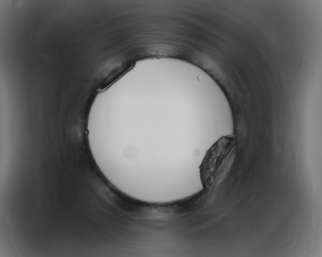 X0000086800305200705041613