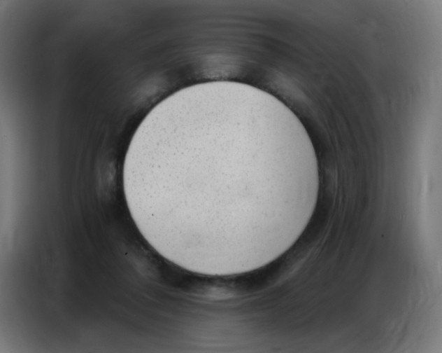 X0000086800308200705041613