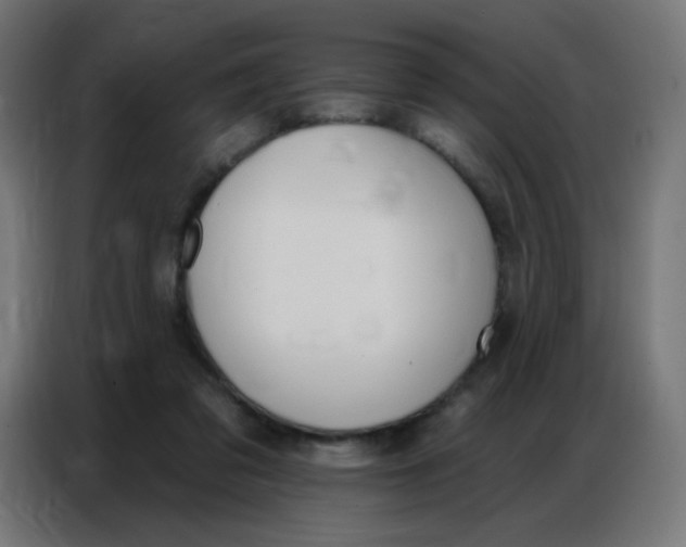 X0000086800309200705041613