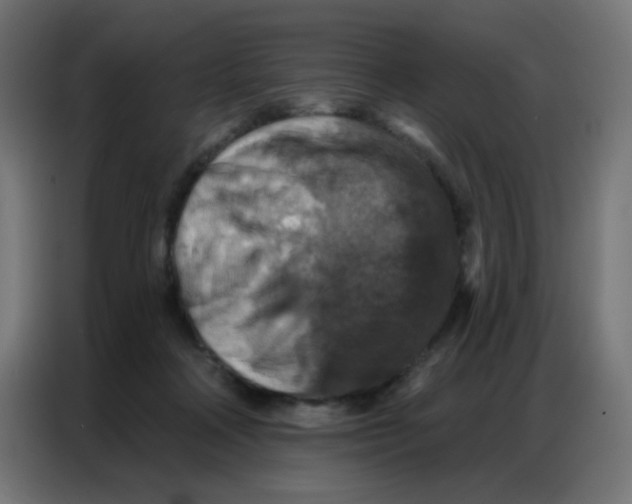 X0000086800314200705041613