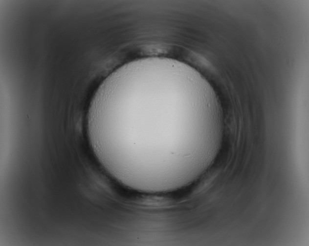 X0000086800315200705041613