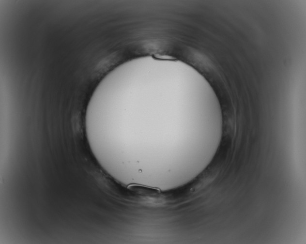 X0000086800317200705041613