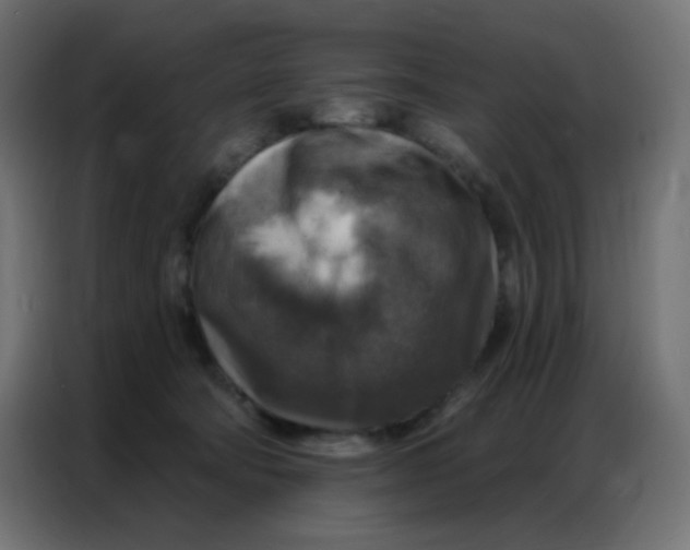 X0000086800322200705041613